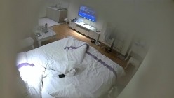 预览图8