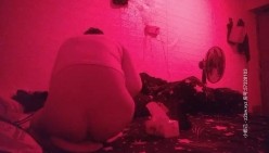 预览图12