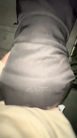 预览图4