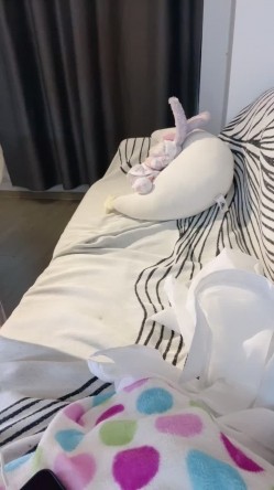 预览图4