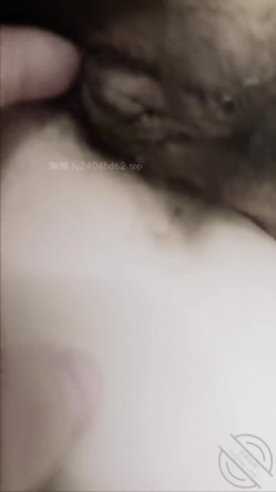 预览图4