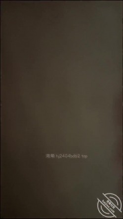 预览图11