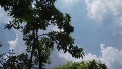 预览图9