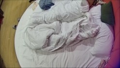 预览图4