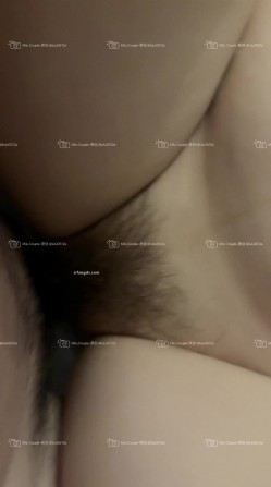 预览图12