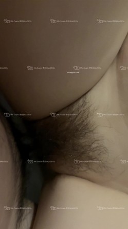 预览图15