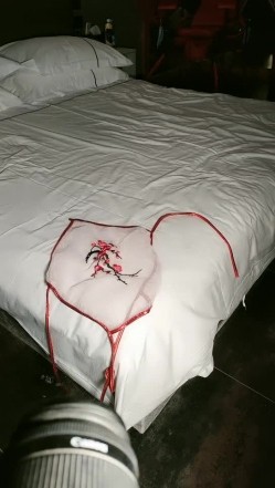 预览图7