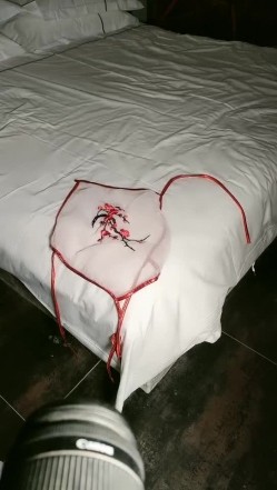 预览图8