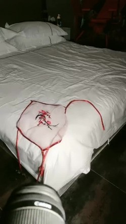 预览图9