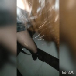 预览图11