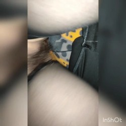 预览图12