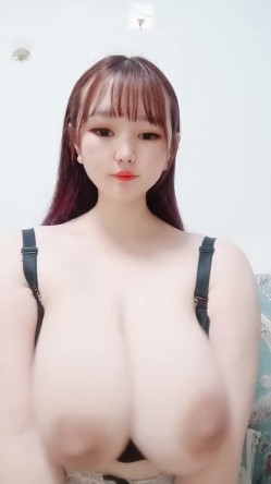 预览图4