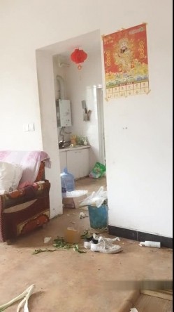 预览图15