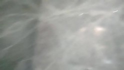 预览图16