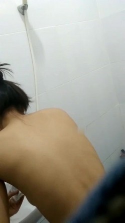 预览图5