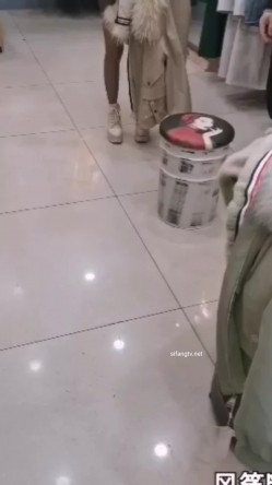 预览图4
