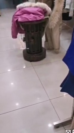 预览图11