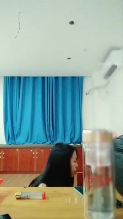 预览图4