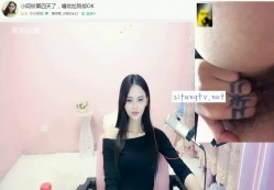 预览图13