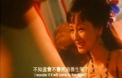 预览图11