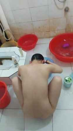 预览图4
