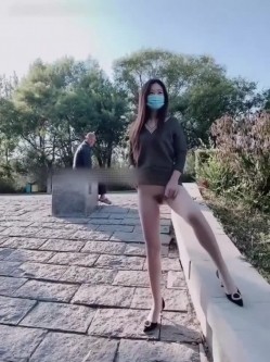 预览图4