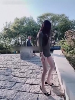 预览图5