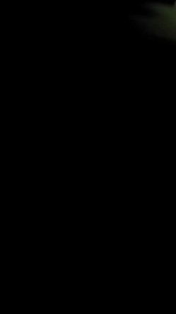 预览图15