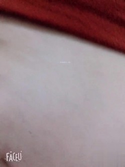 预览图4