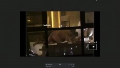 预览图1