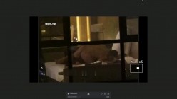 预览图2
