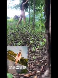 预览图9