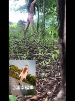 预览图10