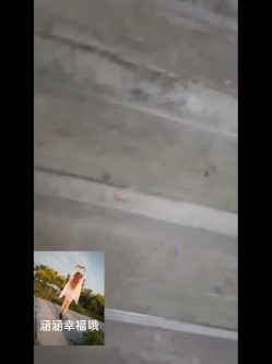 预览图12