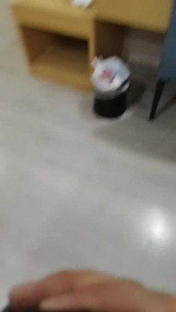 预览图4