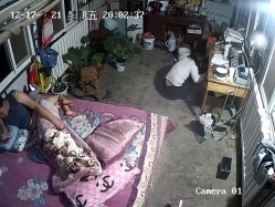 预览图2