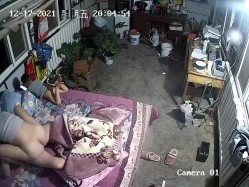 预览图7
