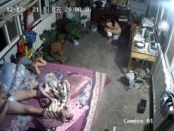 预览图14