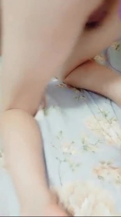 预览图4
