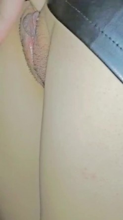 预览图4