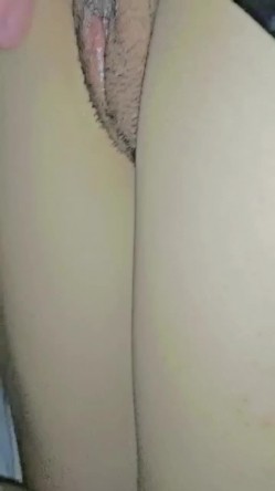 预览图5