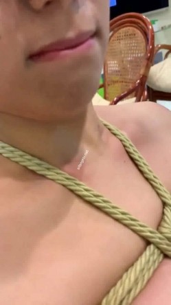 预览图1