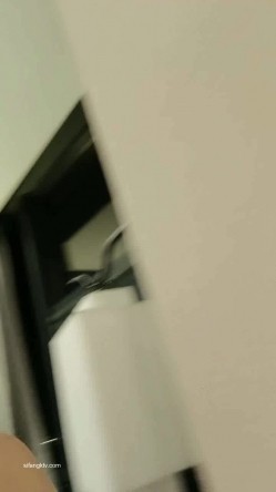 预览图8