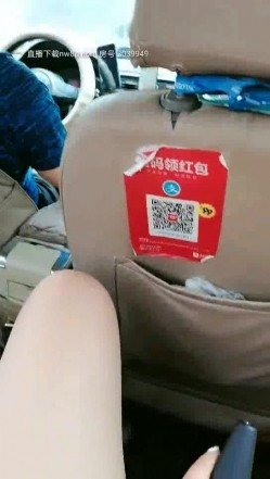 预览图3