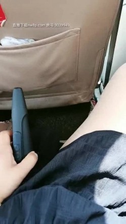 预览图4