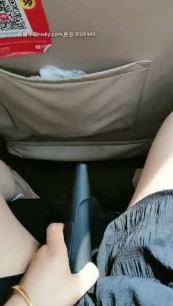 预览图5
