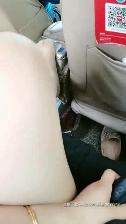 预览图7