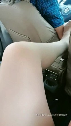 预览图9