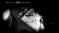 预览图8