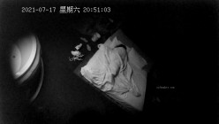 预览图14
